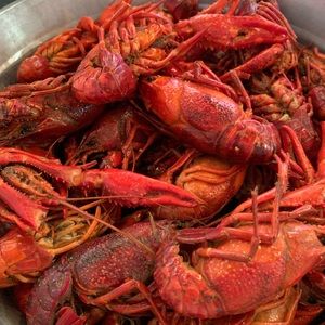 Meet your Posher, Judy